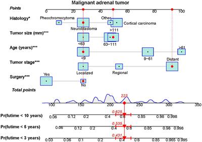 Construction of a novel clinical nomogram to predict cancer-specific survival in patients with primary malignant adrenal tumors: a large population-based retrospective study